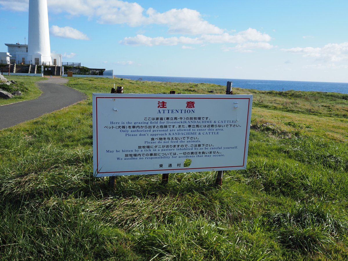 g9e1o7's tweet photo. 尻屋埼灯台
下北半島の最北東端の岬
なんでこうも岬には馬が放牧されているのだろうか（都井岬も放牧されていたなぁ） https://t.co/GFsbLqsodd