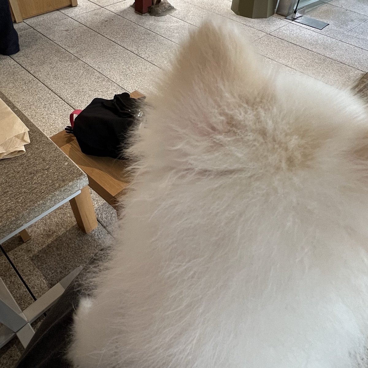 2ma1S2's tweet photo. 애기 친구들 우르르 집에 놀러와서 시달리다가 탈출나왓슨...,,하,,,, 집에가고싶다 https://t.co/SjPNkhK5wA