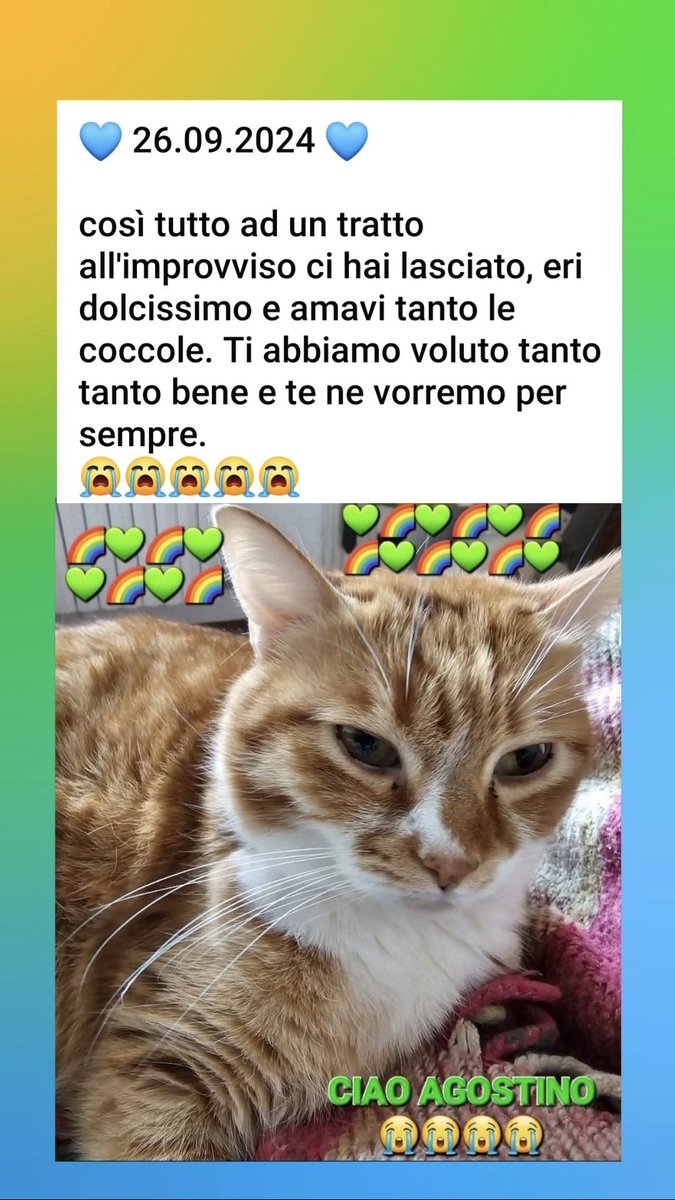 doriadepolo's tweet photo. 💙 26.09.2024 💙 https://t.co/5AKP1Fbvtd