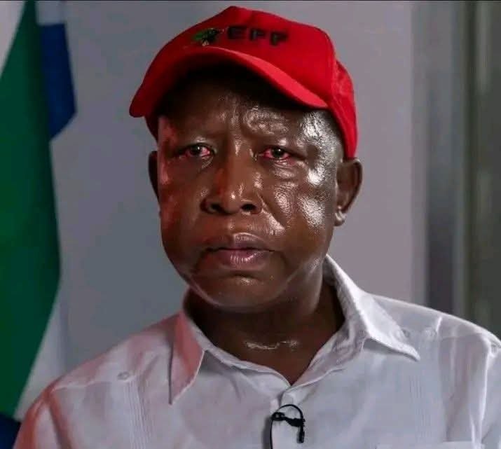 FonyokaPondoka's tweet photo. High on Cocaine or drunk? @EFFSouthAfrica #VoetsekEFF https://t.co/tuw4sSZ9jx