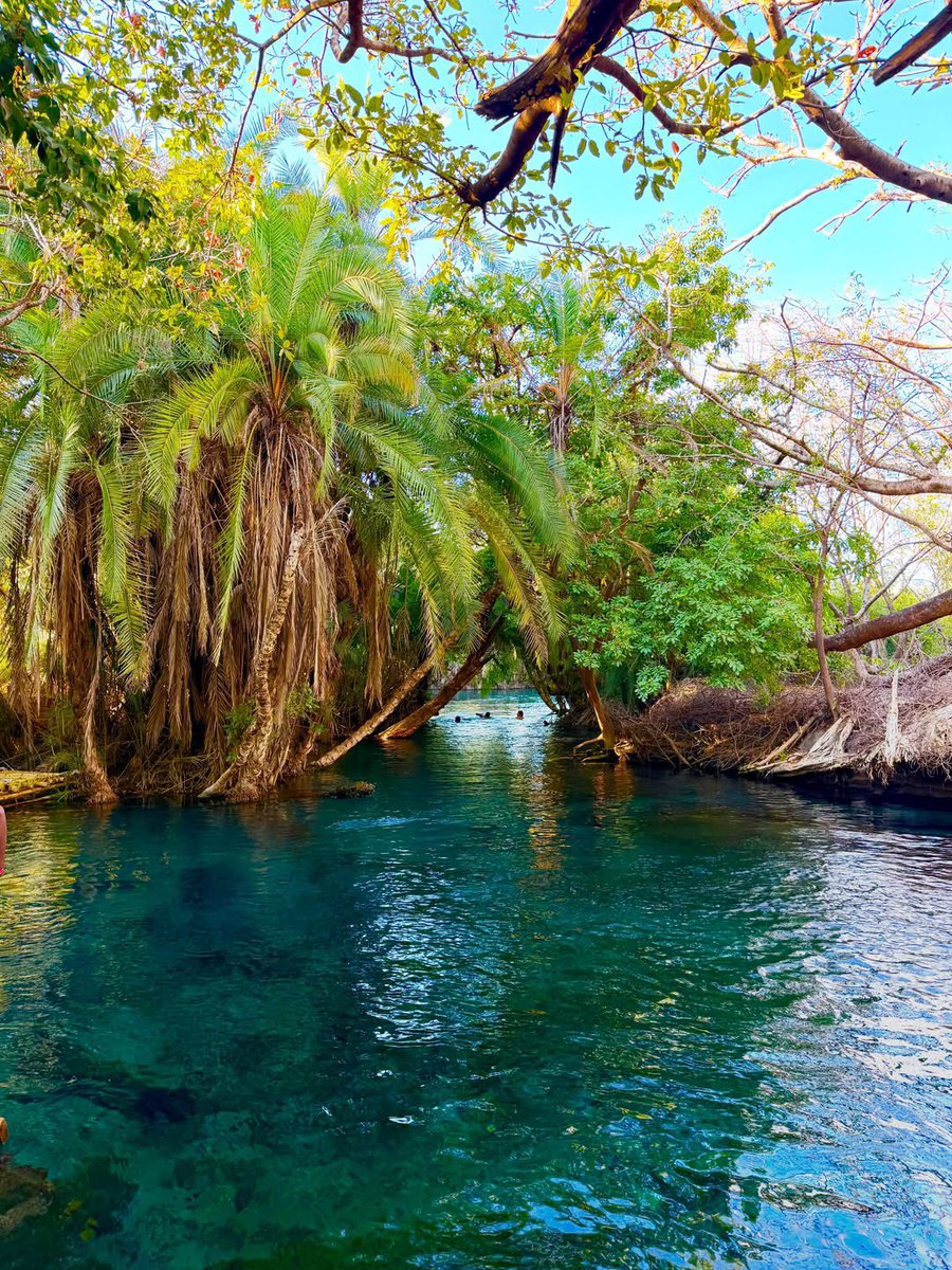 SafariGateway_'s tweet photo. A piece of heaven in Tanzania 🇹🇿🌴

📍Chemka Hot Springs, Kilimanjaro https://t.co/sWxoAzMHfu