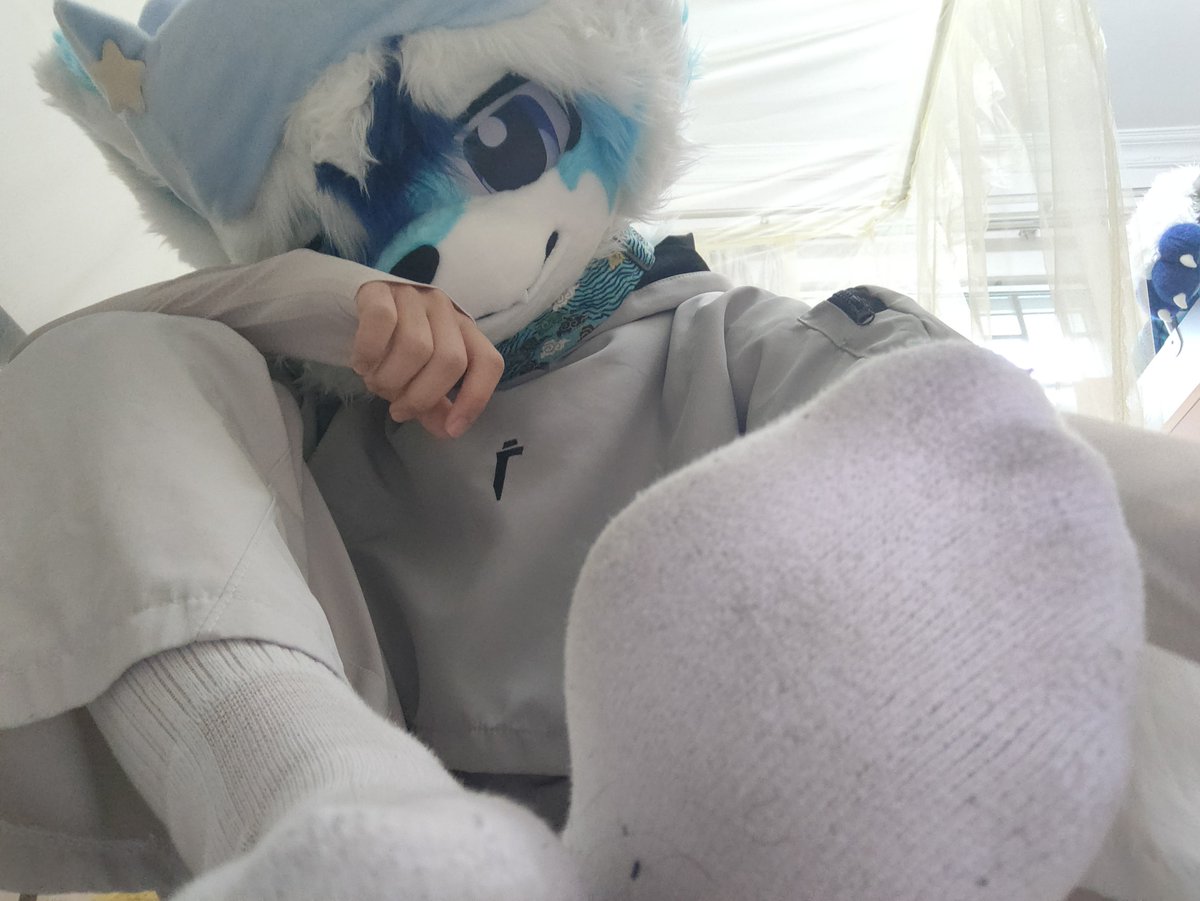 XOGO123456's tweet photo. 宝你凑凑的～

#furry #FURRY #兽装 #白袜 https://t.co/J310vaehq0