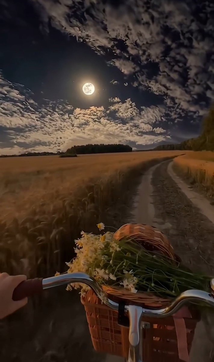 hhatceee's tweet photo. Gitme zamanı🌾 https://t.co/XIgIiRuWgi