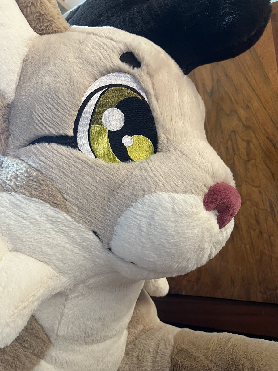 FluffPuffGer's tweet photo. The new refined Lyra XXL Plush Prototype showed up! :3
We just need to finalize some details and we would be ready to go.

We also will offer her partially stuffed for affordable US Shipping. 

She is crafted by a small German company all by hand! :3

#plush #plushie #cat https://t.co/Ija324Ll8v