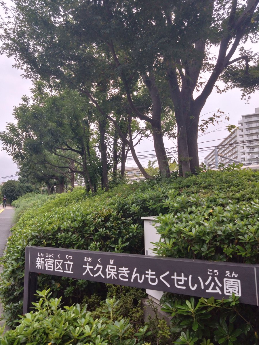 mako_chachacha's tweet photo. Sunday Afternoon の ブラまこつ👣
今年はキンモクセイ終わるの早くね？
跡形も無い😅
去年は10月中旬が見頃だったような気がするが… https://t.co/novXd8KzpX