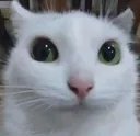 spicy124_'s tweet photo. jester hate sex https://t.co/juTKhnLOu3