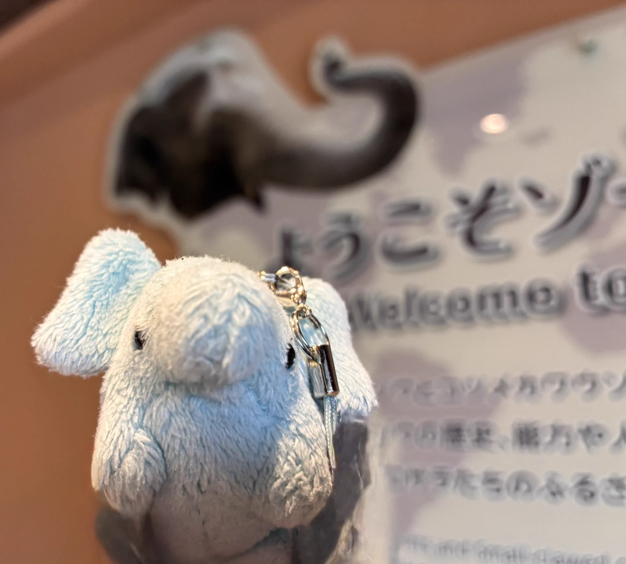 きょうちゃん on X: 