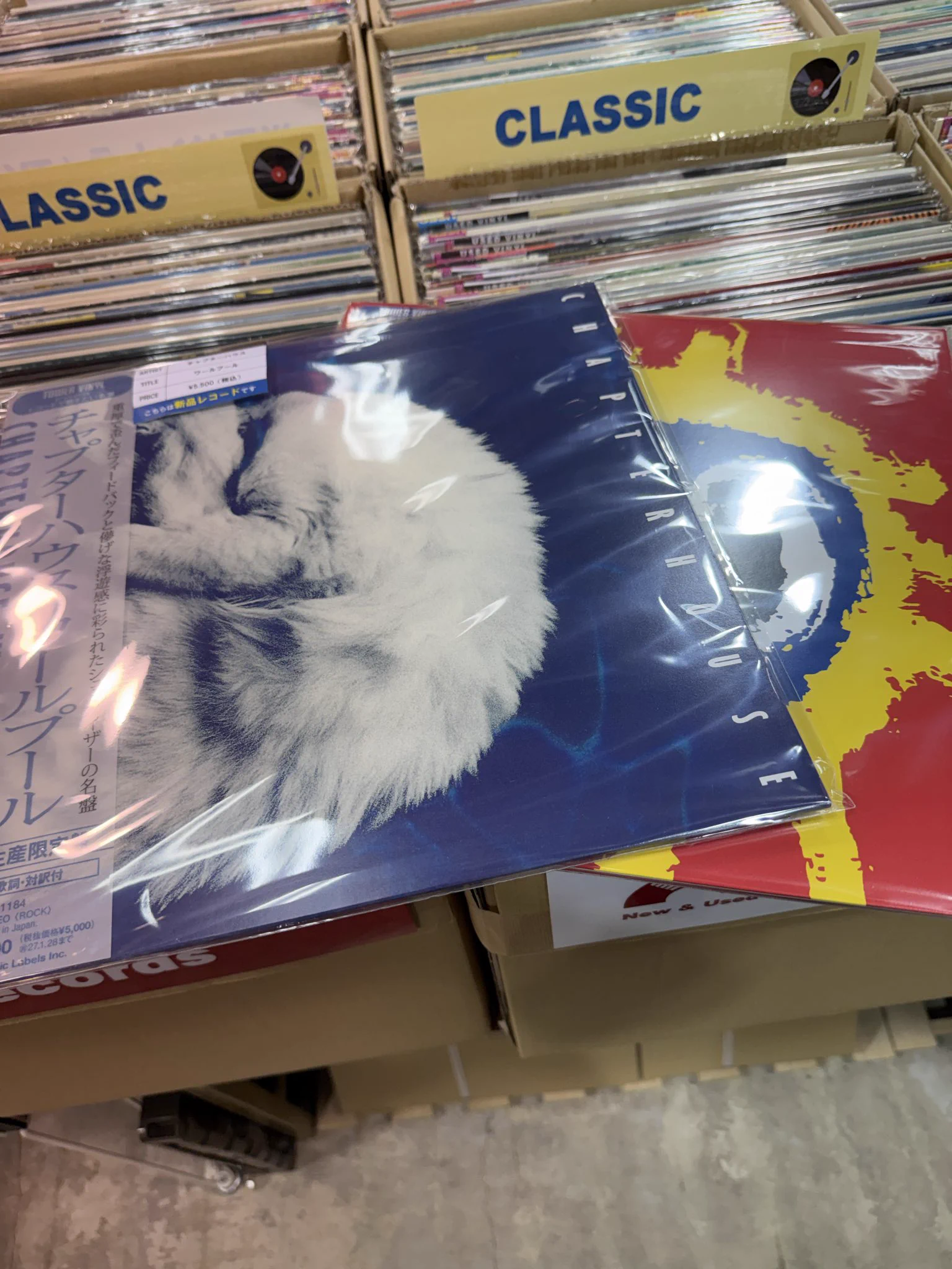 バンダレコード 矢巾店 Supported by 駿河屋 on X: 