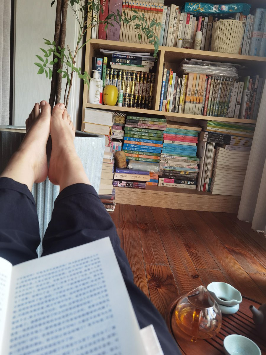 EleanoreWijref's tweet photo. A lazy Sunday afternoon at home: curled up on the couch with a warm cup of tea and my favorite book—no plans, just cozy vibes. https://t.co/W3JWFTNtao