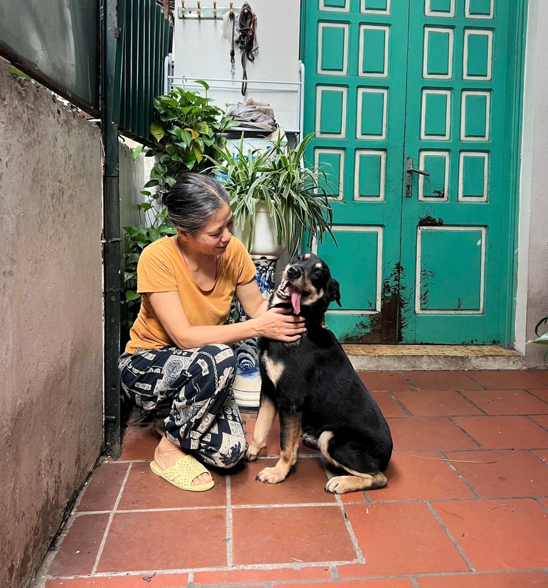WHOVietnam's tweet photo. 🐶❤️ Meet Phung Thi Phuong and Na.

When Ms Phuong's family welcomed Na home as a puppy, they made a commitment to look after her properly. That meant regular care, recommended vaccinations ( including for rabies) and keeping Na safe and healthy, just like any other member of the family.

"She is not really a pet to us anymore. She is a family member," says Ms Phuong.

This World Rabies Day, Na's story is a reminder that responsible dog ownership is one of the best ways to protect the people and animals we love. After all, when our dogs are family, keeping them vaccinated is just part of caring for them. 🐾💙

Read more about Phuong and Na's story here: https://t.co/PXLG1GSoao

#WorldRabiesDay #StrongerTogether