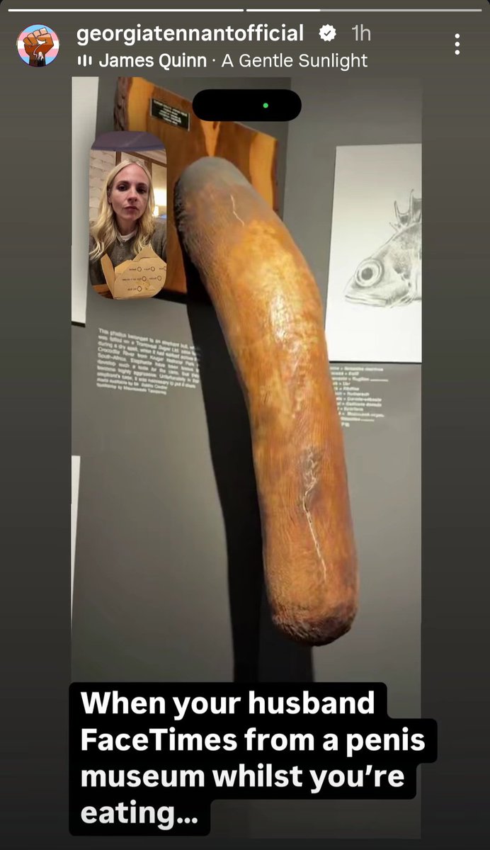 WrDaB0's tweet photo. WHY ON EARTH WAS DAVID IN A PENIS MUSEUM😭???? https://t.co/w8GIZ3EfcO