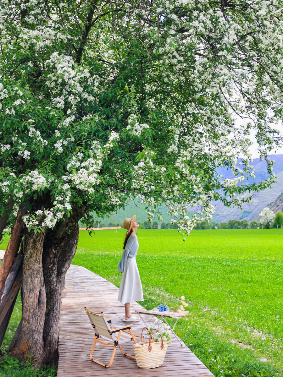 MaganVanwright's tweet photo. En esta soleada primavera, las flores despiertan coloridas y el aire trae fragancias frescas. Un día perfecto para salir a caminar!， https://t.co/amyDWTzjD1