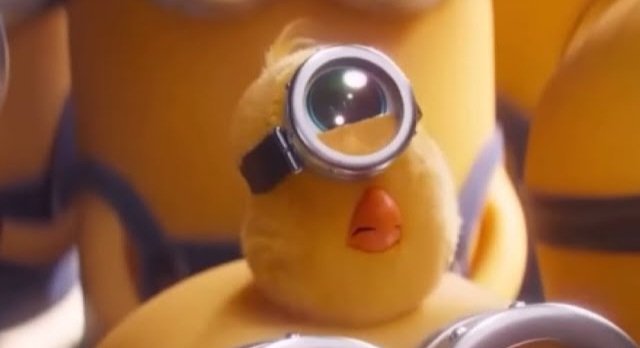104OOs's tweet photo. Jokes aside, what could possibly have happened to the pip anyway? Zero appareaces or mentions after that movie came out, nothing https://t.co/ApZknOs3YS