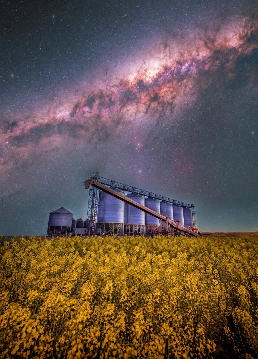 Oi_On_Ya's tweet photo. Good night baby 
I love you ♥️
See you soon 💋

I'll share 
Canola fields in the Liverpool Plains NSW Australia. https://t.co/Xxa0lfd873