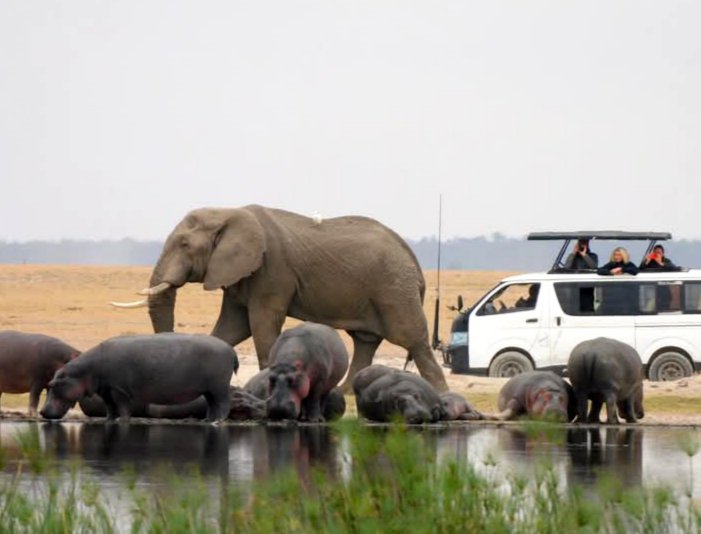 Amboselinp's tweet photo. Happy World Tourism Day!!!
May every journey in Amboseli National Park inspire discovery and unforgettable memories.^MJ

#WorldTourismDay2026
#ExploreExperienceConserve
#AmboseliNationalPark
#ThrivingWildlifeForever
#AdventureAwaits https://t.co/NEIsYnGsd9
