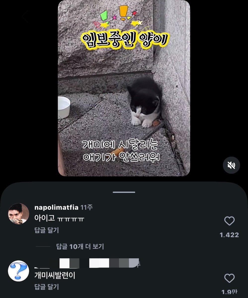 yama__zzal's tweet photo. 개미 https://t.co/f5ZaaKOjlq