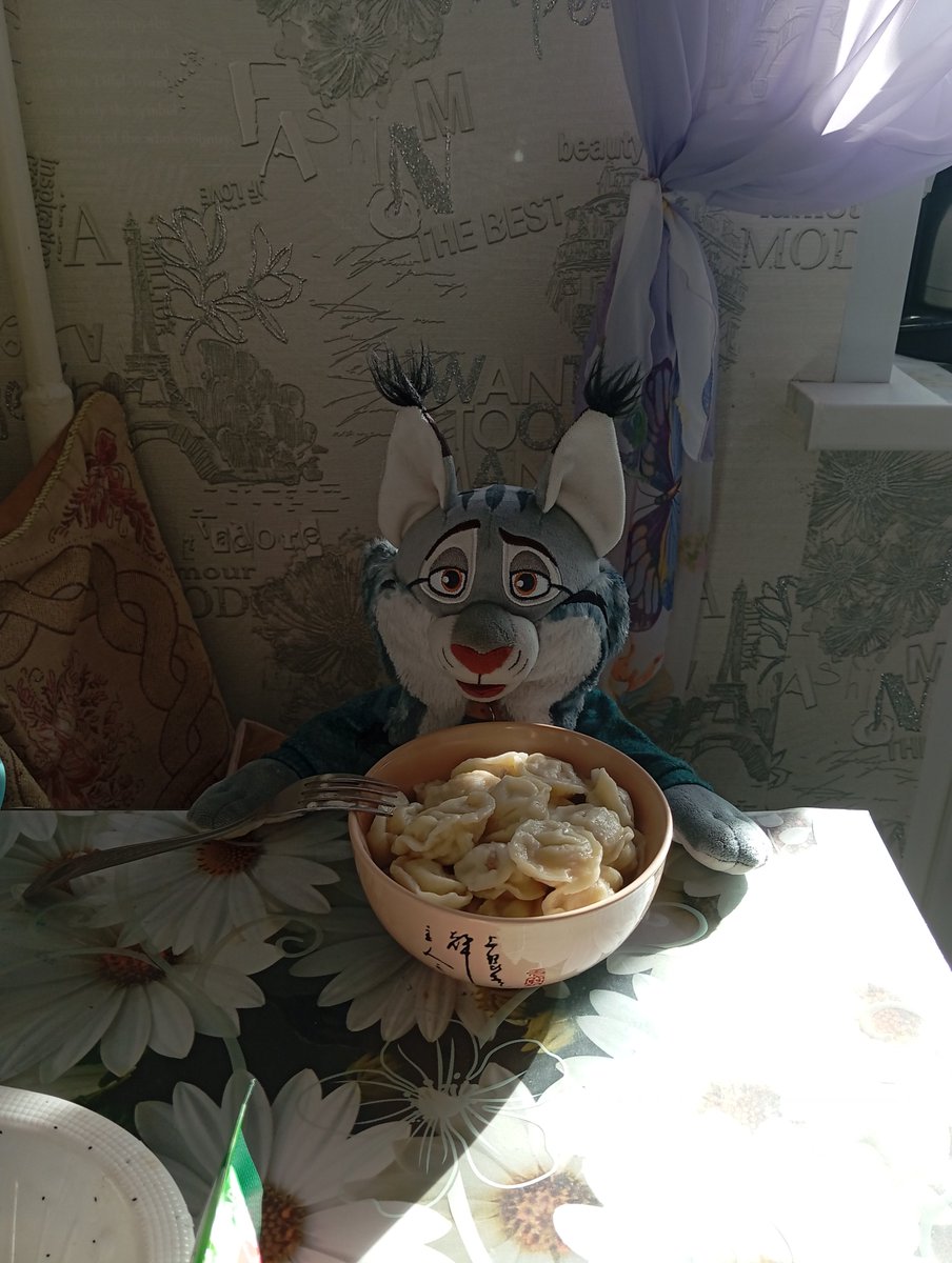 pawbert_777's tweet photo. Pawbert and I are eating Grandma's pelmeni. Hers are the most delicious https://t.co/B8nAa1kOKk