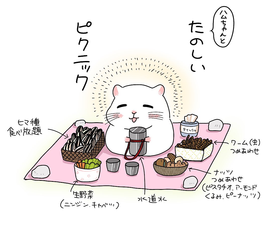 riccorinko's tweet photo. たのしいピクニック。ハムちゃんver. https://t.co/Hi1I1hzDV1