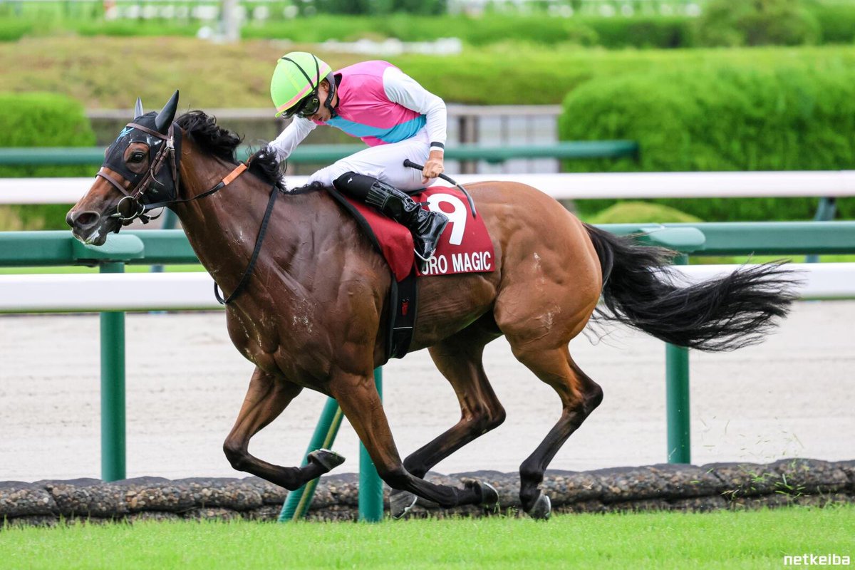 cocoarini's tweet photo. Calstone Light O:

• Winner of the 2002 and 2004 Ibis Summer Dash
• Winner of the 2004 Sprinter Stakes

Puro Magic:

• Winner of the 2025 and 2026 Ibis Summer Dash 
• Winner of the 2026 Sprinter Stakes

SOMETIMES GREATNESS IS MEANT TO BE RELIVED AGAIN!!! 🐴🤎🖤 https://t.co/ATCaR20pYM