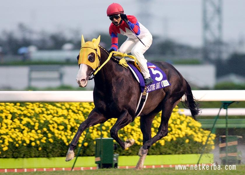cocoarini's tweet photo. Calstone Light O:

• Winner of the 2002 and 2004 Ibis Summer Dash
• Winner of the 2004 Sprinter Stakes

Puro Magic:

• Winner of the 2025 and 2026 Ibis Summer Dash 
• Winner of the 2026 Sprinter Stakes

SOMETIMES GREATNESS IS MEANT TO BE RELIVED AGAIN!!! 🐴🤎🖤 https://t.co/ATCaR20pYM