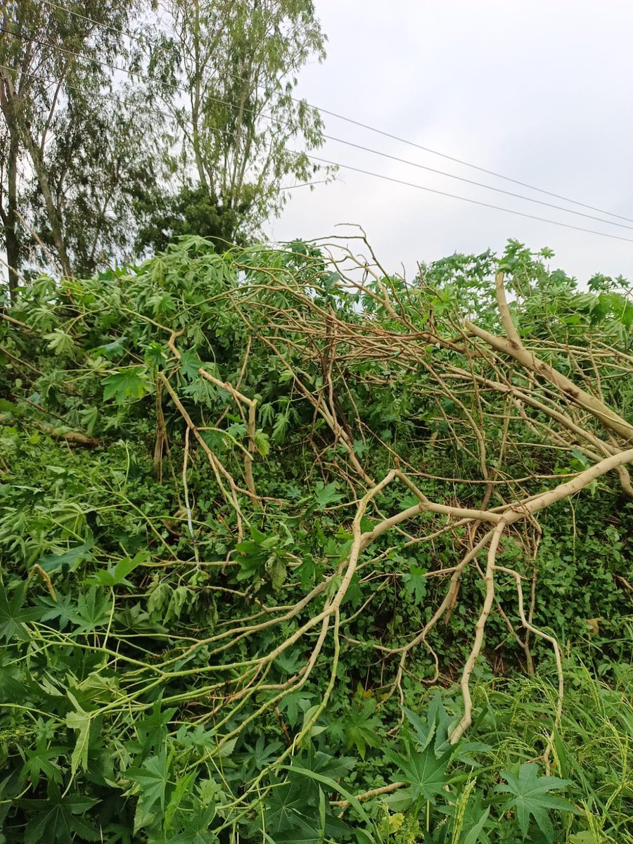 mvvnlAyodhya's tweet photo. विद्युत वितरण खंड दर्शननगर के उपकेंद्र
दर्शननगर के अंतर्गत तेज आंधी में क्षतिग्रस्त खंभों व लाइनो पर मेंटेनेंस का कार्य किया जा रहा है।
@aksharmaBharat
@EMofficeUP
@ChiefSecyUP
@UPPCLLKO
@UppclChairman
@MVVNLHQ
@ChiefAyodhya
#shutdown
#breakdown https://t.co/pcUnn9dy57