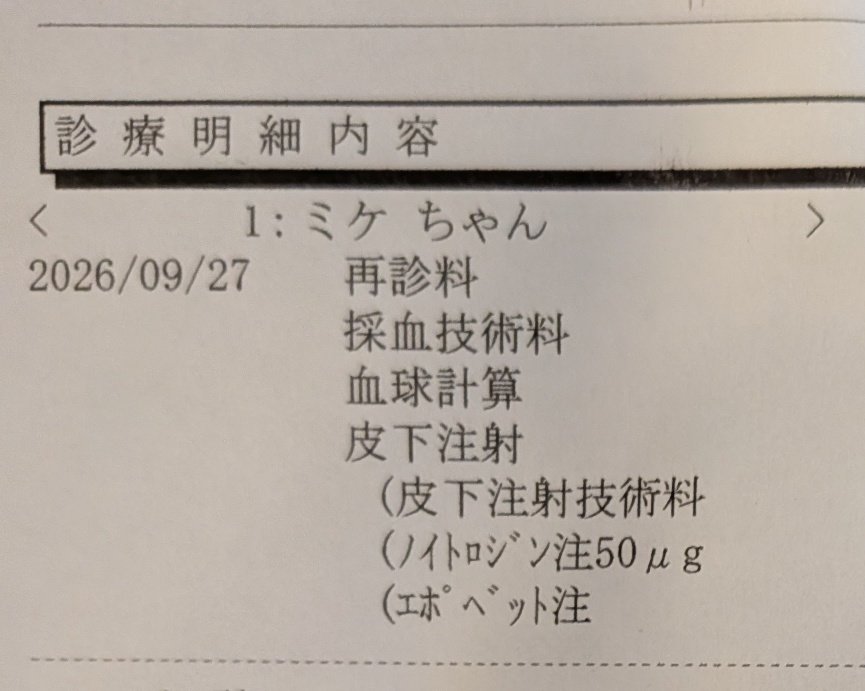 ojm52811's tweet photo. ミケちゃん白血球が昨日の26.5→41.4とかなり増えて標準値に入りました👏👏一方赤血球は日毎に減少していますのでエポベットを注射していただきました。ただ、エポベットは腎性貧血に対して使われる薬なのでミケちゃんに効果があるかはやってみないとわかりません。再度の輸血の選択肢も提示されました。骨髄検査で骨髄の機能を調べるにしても今の状態ではミケちゃんに負担が大きいので輸血で数値を上げる必要があるとの説明でした。明日もまたヘモグロビン、ヘマトクリット等の数��が下がっているようなら輸血も考えなければいけません。ミケちゃん自身は白血球が増えたからか今日は最近になく元気に過ごしてくれました😊
ミケちゃん「ふぅ〜、なかなか上手くいかないわ。でもごはんが美味しく食べられたし良しとしよっと。みんな褒めてね〜(⁠◍⁠•⁠ᴗ⁠•⁠◍⁠)」