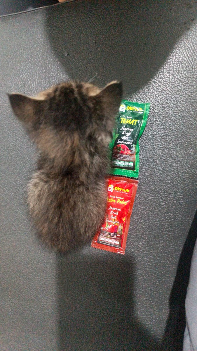 qPerdd tweet picture