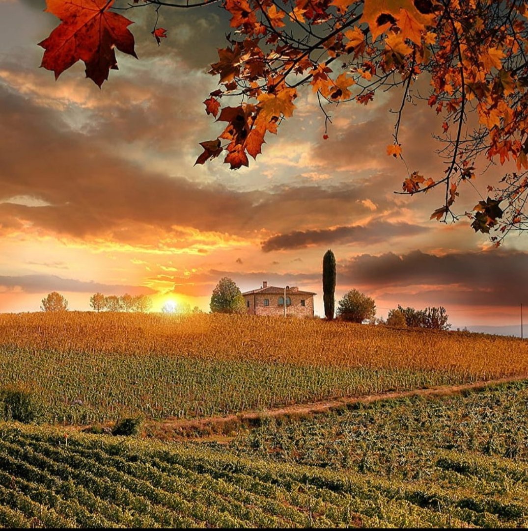 Leonor08159041's tweet photo. Good Sunday morning 🍁💛🫶 https://t.co/nARMC8AjHA