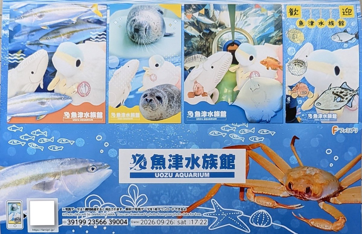 uozuaquarium's tweet photo. 魚津水族館オリジナルプリクラができました！
ご来館の思い出にぜひ✨
※お絵描き機能はありません

撮影モデル：シャリササリ
　　　　　　ぬいぐるみバンちゃん https://t.co/QvLBpE3p49