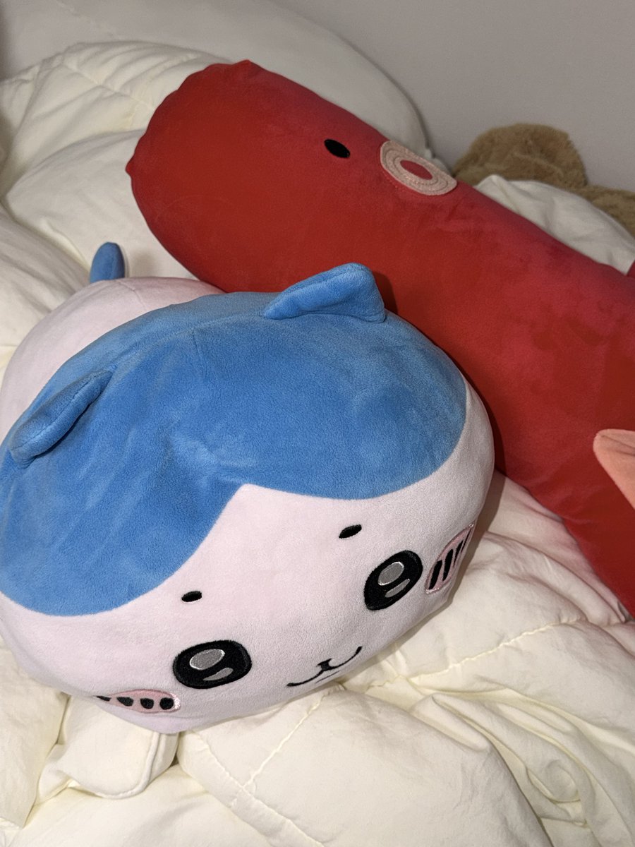 reson_nance's tweet photo. 빨래망해서 부끄러운하치와레됨 https://t.co/4aewYuM6iN