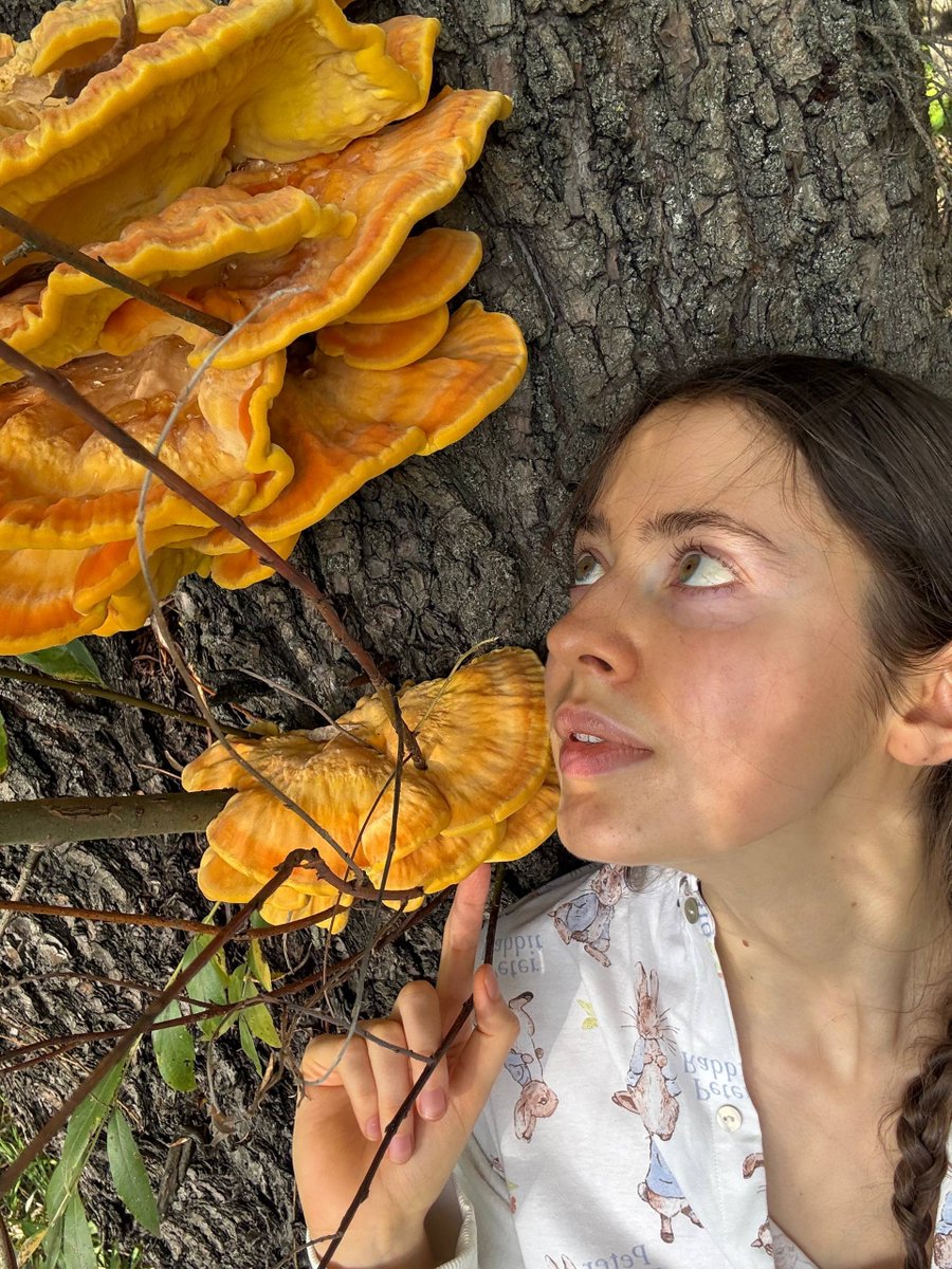 Stefaniadeafoa's tweet photo. Wonderful autumn ❤️💛❤️ join my telegram 👉 https://t.co/nz5gtm0d8O https://t.co/6gBeoBxorL