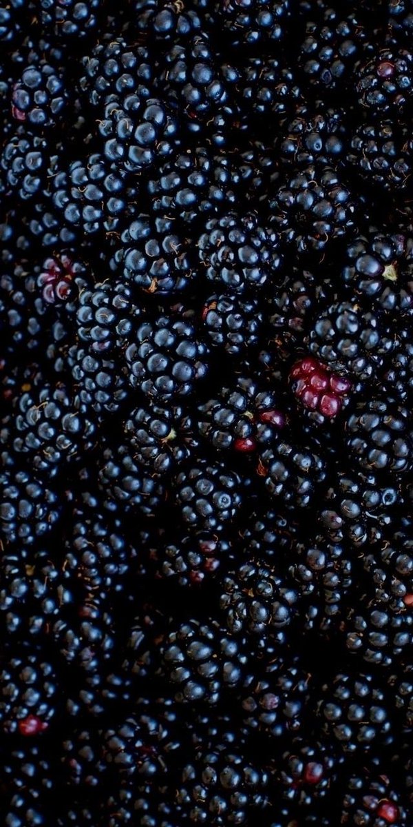 naturehealyou's tweet photo. wild berries https://t.co/d79x1GlzIo