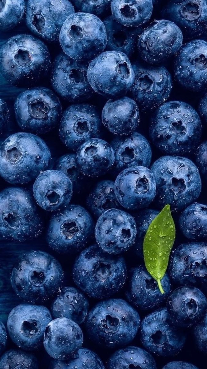 naturehealyou's tweet photo. wild berries https://t.co/d79x1GlzIo