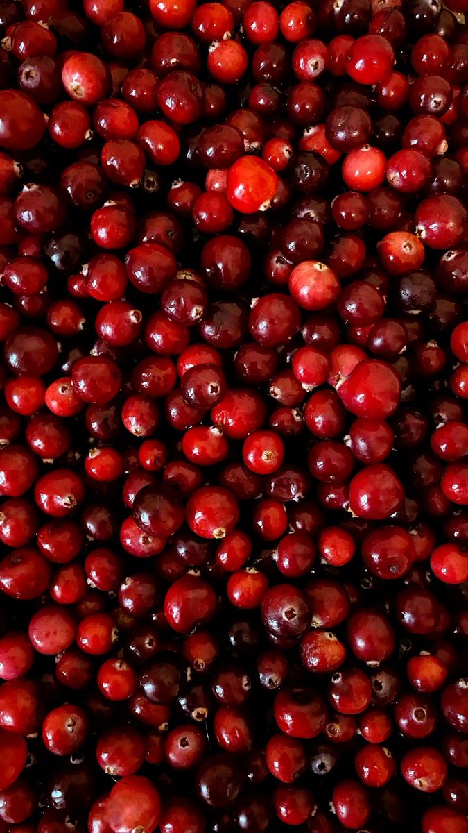 naturehealyou's tweet photo. wild berries https://t.co/d79x1GlzIo