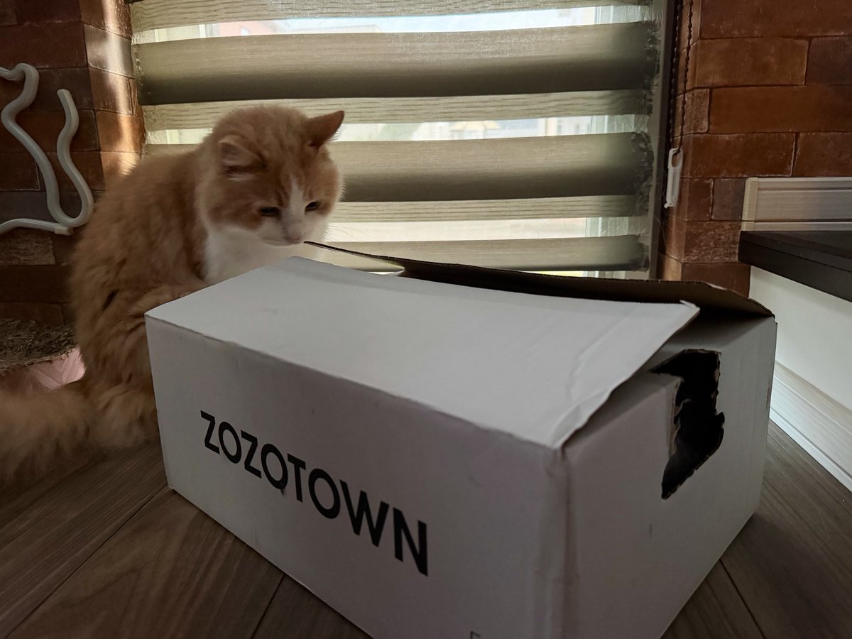 N4VIC0's tweet photo. 白箱初めてキタ😘😘😘😘

猫に埋もれた🫪🫪🫪🫪

 #ZOZOWEEK箱CP https://t.co/KjHLY8MAu5