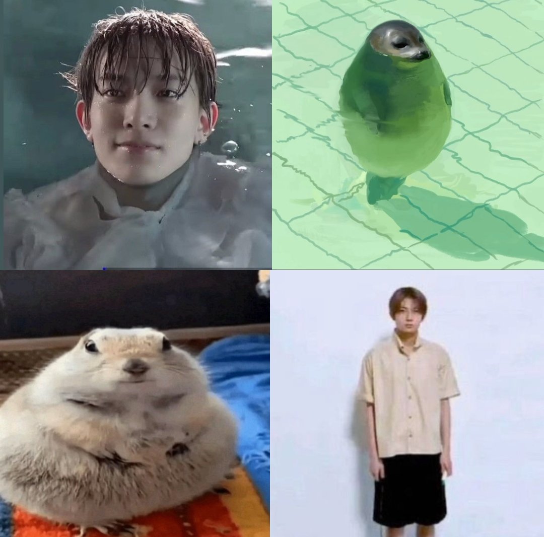 heesecams's tweet photo. i love how heeseung is so deer, hamster, bunny, cat, dog, seal, ferret, squirrel, hedgehog coded like yeah he's allat https://t.co/sfxJTAhxQh