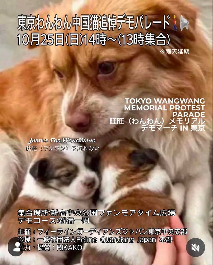 kinopy1020's tweet photo. 旺旺ﾁｬﾝ
9月20日台風の影響で
中止・延期となった
東京のデモパレード
10月25日（日）に
決まったよ！
現在707名が集まって
くれているって。
あなたはすごいよ！
ほんとにすごいよ！
あなたを思うたくさんの
方達をちゃんと見ててね。 https://t.co/MrLXSTATZo