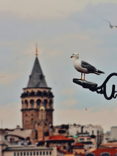 ScottRiverty0b's tweet photo. عملك يؤدي بالتأكيد إلى النجاح. متناول يديك سوف النجاح في مع تصميمك. hubert gnatek https://t.co/oWIDc9c3ej