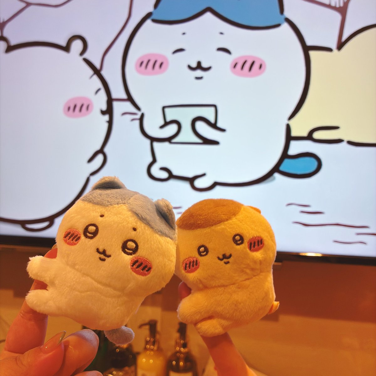 ymir_ff14's tweet photo. ちいかわ見てる https://t.co/J6p2f8Ogho