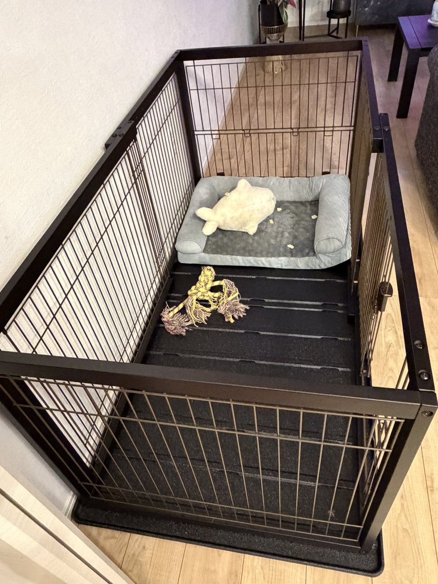 oku3chapi's tweet photo. ５万もしたから、どうか使って欲しいw https://t.co/4Jtmm2Qz1f