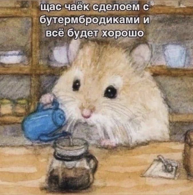 elisaobetta tweet picture