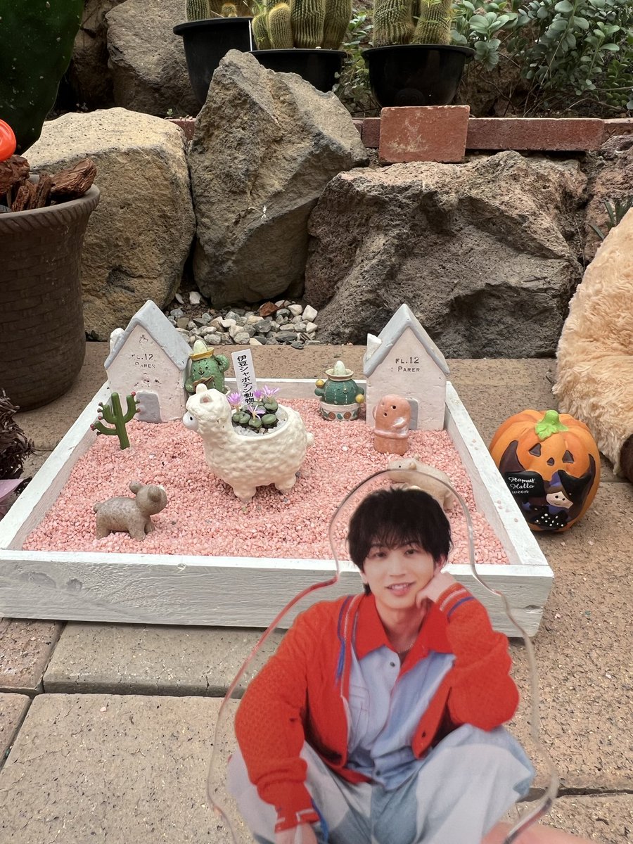 86_Haruka's tweet photo. 旅行〜。行く直前にぶるろコラボしてるよー言われて連れてきたナギちゃん✨♡ https://t.co/foagRetGgL