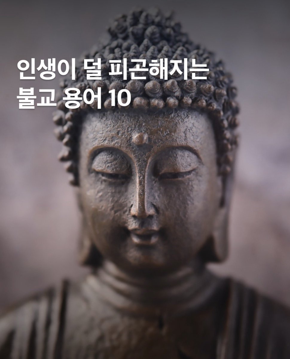 thesoohaa's tweet photo. 인생 덜 피곤하게 사는 불교 용어 
살아 보니 맞는거 같다 📌

1.  무주상보시 (無住相布施) 베풀되 베풀었다는 마음을 두지 마라

2.  방하착 (放下着) 놓아 버려라 쥐고 있기에 무거운 것이다

3.  수심 (守心) 마음을 지키는 것이 곧 나를 지키는 것이다

4.  지족상락 (知足常樂) 족한 줄 아는 마음이 늘 즐겁다

5.  탐심시고근 (貪心是苦根) 탐욕은 고통의 뿌리다

6.  제행무상 (諸行無常) 모든 것은 영원하지 않고 반드시 지나간다

7.  항복기심 (降伏其心) 나를 이기는 자가 가장 강한 자다

8.  반조자심 (返照自心) 밖으로 향하던 마음을 돌이켜 자기 자신의 본래 마음을 비추어 본다

9.  적정생혜 (寂靜生慧) 고요함을 통해 지혜를 얻는다

10.  진화선소심 (瞋火先燒心) 분노는 남을 태우기 전에 먼저 나를 태운다