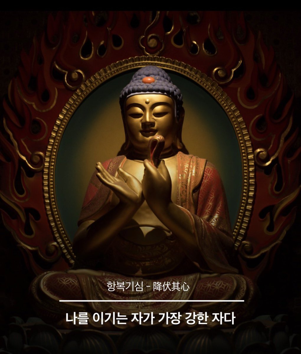 thesoohaa's tweet photo. 인생 덜 피곤하게 사는 불교 용어 
살아 보니 맞는거 같다 📌

1.  무주상보시 (無住相布施) 베풀되 베풀었다는 마음을 두지 마라

2.  방하착 (放下着) 놓아 버려라 쥐고 있기에 무거운 것이다

3.  수심 (守心) 마음을 지키는 것이 곧 나를 지키는 것이다

4.  지족상락 (知足常樂) 족한 줄 아는 마음이 늘 즐겁다

5.  탐심시고근 (貪心是苦根) 탐욕은 고통의 뿌리다

6.  제행무상 (諸行無常) 모든 것은 영원하지 않고 반드시 지나간다

7.  항복기심 (降伏其心) 나를 이기는 자가 가장 강한 자다

8.  반조자심 (返照自心) 밖으로 향하던 마음을 돌이켜 자기 자신의 본래 마음을 비추어 본다

9.  적정생혜 (寂靜生慧) 고요함을 통해 지혜를 얻는다

10.  진화선소심 (瞋火先燒心) 분노는 남을 태우기 전에 먼저 나를 태운다