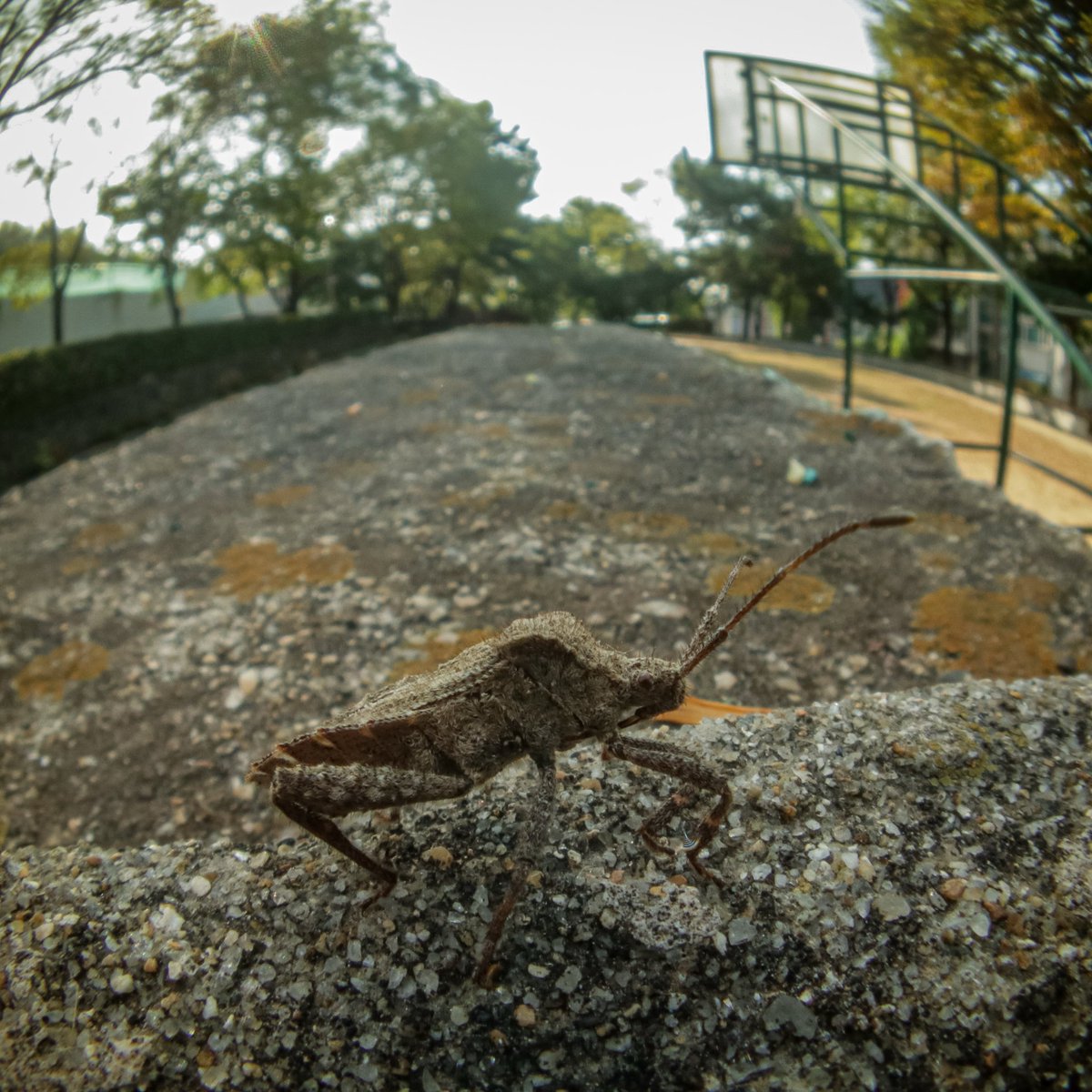 asocialant's tweet photo. 1.8mm CCTV https://t.co/CvI3EYR7p3