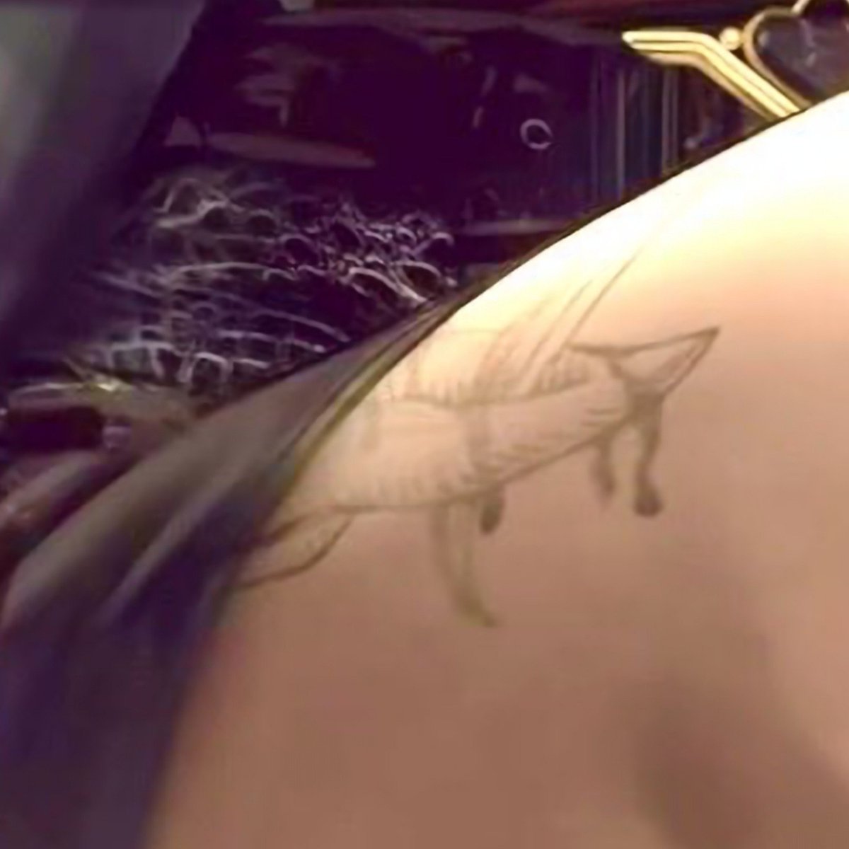 0miyak0's tweet photo. Can't stop thinking about her tattoo 🔪 https://t.co/hGCpBvapGM