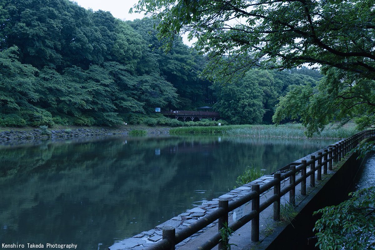 kenphoto5's tweet photo. 知人に印象にのこる写真は？
ときかれた、これ自分が撮ったのではないが、
50年ほど前、当時住んでいた家の近所に
1枚の白黒写真が落ちていた。
大きさは普通のL版。写っていたのは。女性が使う三面鏡
これだけ、当時は何だこれ？と思ったが、今思うと怖いよね。 https://t.co/ONaOqy7QMp