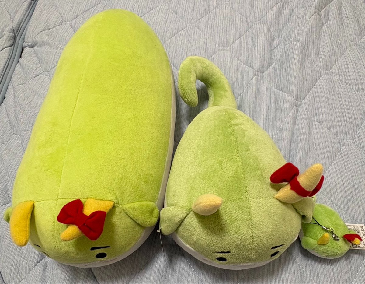 wtf__orz's tweet photo. ｷｭ https://t.co/V1T3UdeM2K