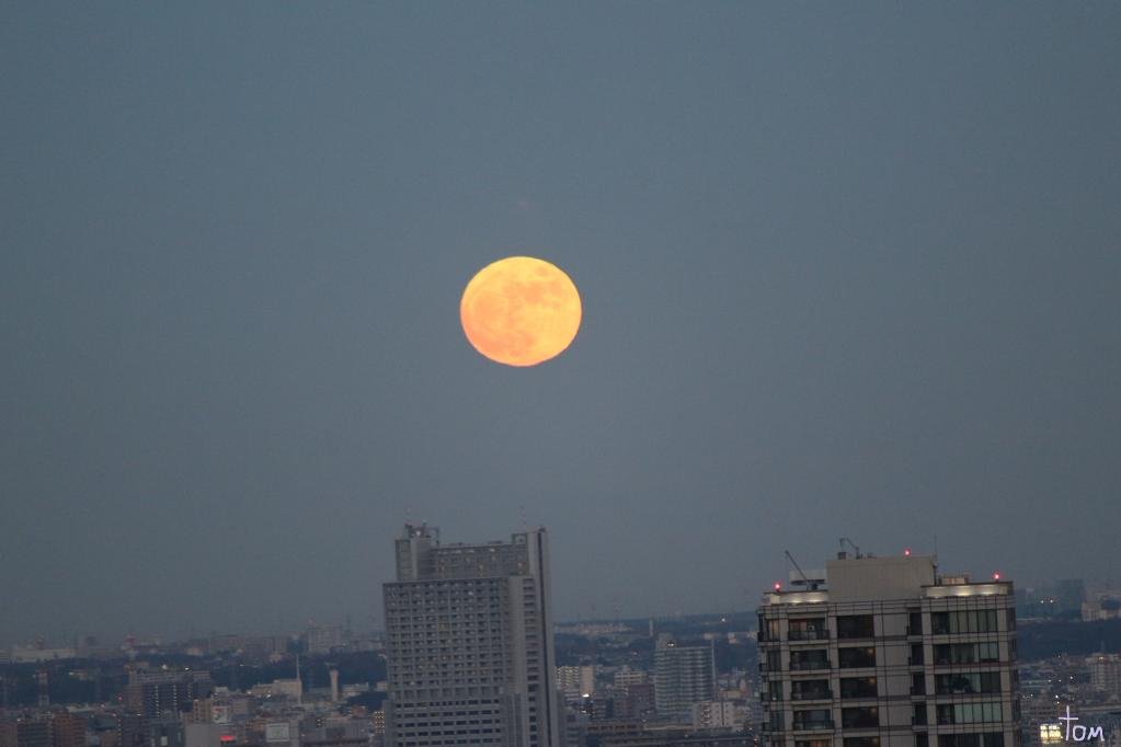 tommy777_tommy's tweet photo. 角を立てず
丸く、丸く。

今宵は満月 🌕

#HarvestMoon #収穫月 https://t.co/LnVAsDYuba