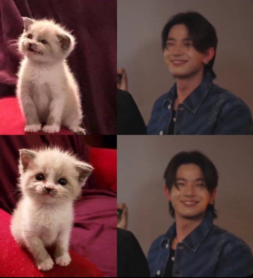 heesecams's tweet photo. i love how heeseung is so deer, hamster, bunny, cat, dog, seal, ferret, squirrel, hedgehog coded like yeah he's allat https://t.co/sfxJTAhxQh